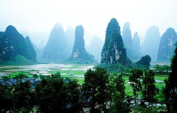 澳洲皮草