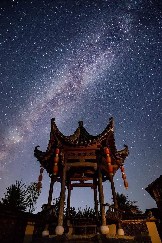 爱吃的鱼